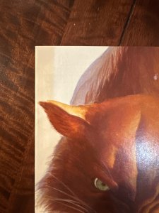 Black Cat #2 (Alex Ross) 2025