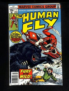 Human Fly #7