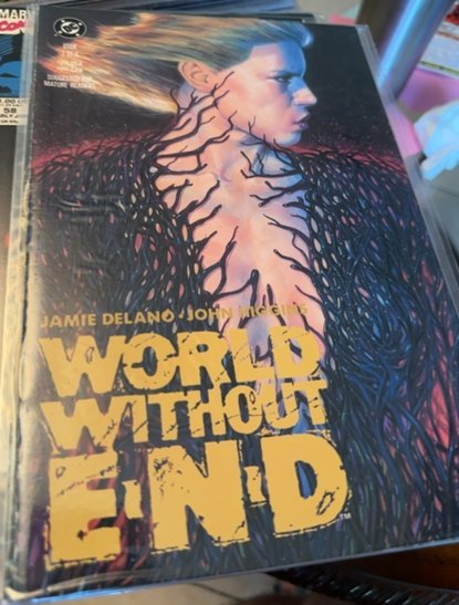 World Without End #3 (1991)  