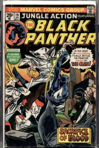 Jungle Action #19 (1976) Black Panther