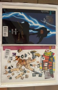 Flex Mentallo #1 (1996)