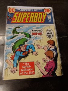 Superboy #194 (1973)