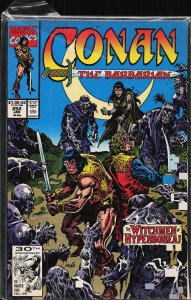 Conan the Barbarian #252 (1992) Conan