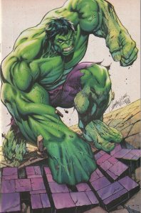 Hulk # 7 J Scott Campbell Virgin 1:100 Variant Cover NM Marvel [C3]