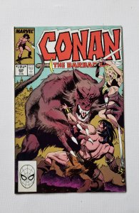 Conan the Barbarian #224 (1989)