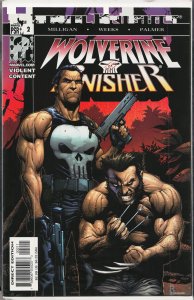 Wolverine/Punisher #2 (2004) Punisher