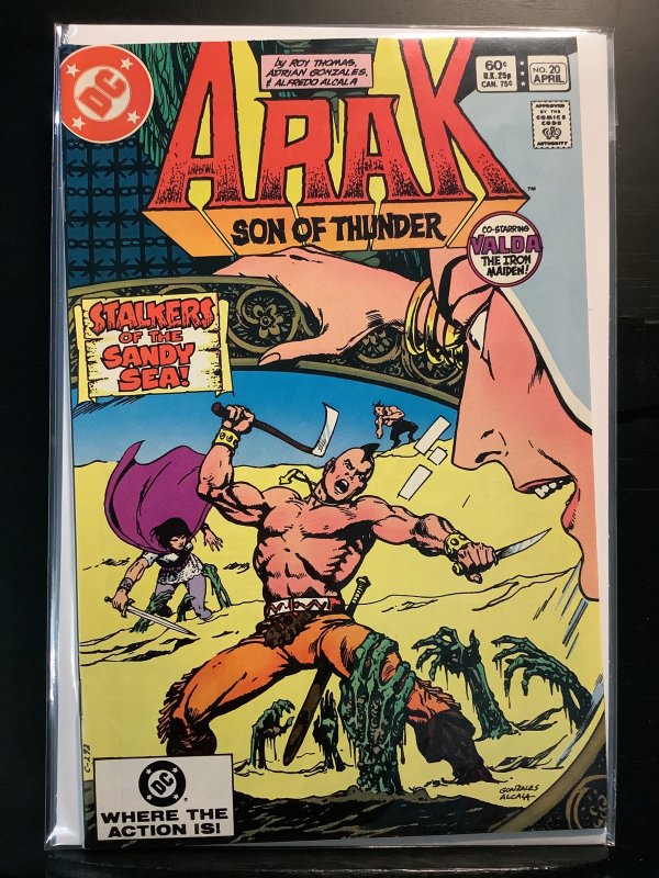 Arak, Son of Thunder #20 (1983)