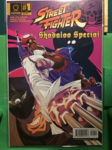 Street Fighter: Shadaloo Special #1
