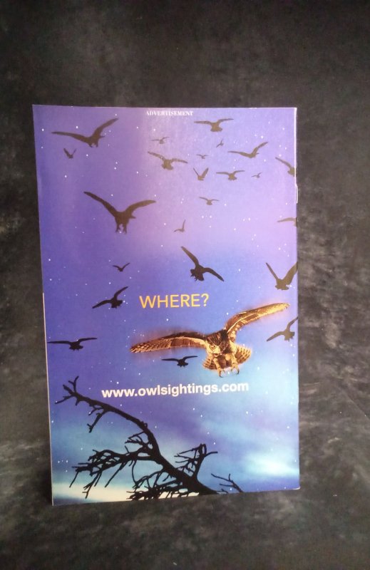 Justice League Adventures #7 (2002)