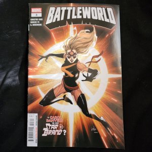 Battleworld #3  (2025) Avenging Wasp