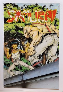Samurai #18 (April 1987, Aircel) VF