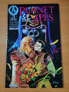 Planet of the Apes #12 ~ VERY FINE - NEAR MINT NM ~ 1991 Adventure Comics