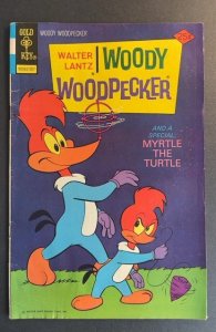 Walter Lantz Woody Woodpecker #144 (1975)