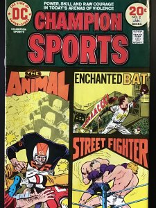 Champion Sports #2 (1974)