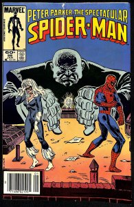 Peter Parker: Spider-Man #98