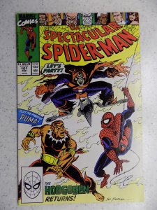 SPECTACULAR SPIDER-MAN # 161 MARVEL