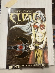 Michael Moorcock's Elric: The Making of a Sorcerer #1 in NM cond. DC comics