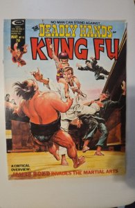 The Deadly Hands of Kung Fu #12 (1975)