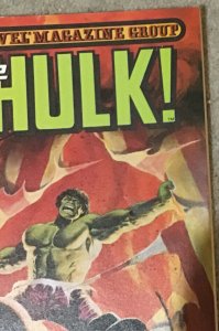 Hulk Vol.1 #25 (1977 Marvel Magazine) 