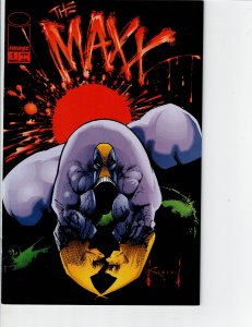 The Maxx: Maxximized #1 Variant Cover (2013)