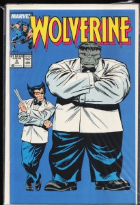 Wolverine #8 (1989) Wolverine