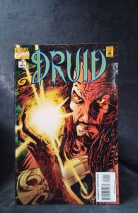 Druid #1 (1995)