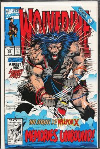 Wolverine #48 (1991) Wolverine