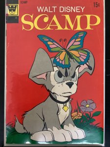 Scamp #8 (1972)
