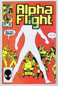 Alpha Flight #25 ORIGINAL Vintage 1985 Marvel Comics