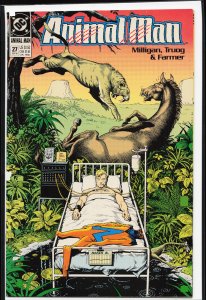 Animal Man #27 (1990) Animal Man