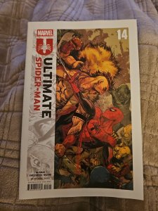 ULTIMATE SPIDER-MAN #14 CHECCHETTO COVER NM MARVEL