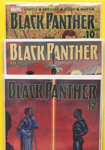 Black Panther 10 11 RIVERA VARIANT 12 (2017)