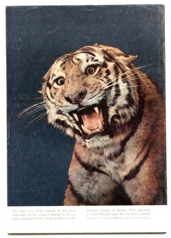 Jungle Jim #4  1955 - Dell  -VF - Comic Book