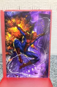 Non-Stop Spider-Man #1 Parrillo Cover B (2021)