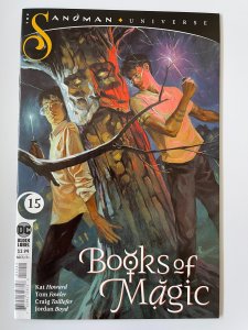 Books of Magic #15 - NM/MT (2020)