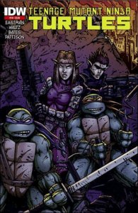 Teenage Mutant Ninja Turtles (5th Series) #19 (2nd) VF ; IDW | Eastman