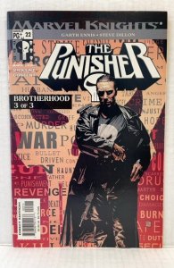 The Punisher #22 (2003)