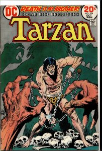 Edgar Rice Burroughs' Tarzan #224 (1973)