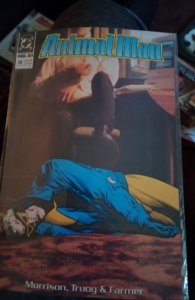 Animal Man #26 (1990) Animal Man 