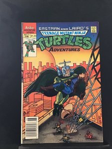 Teenage Mutant Ninja Turtles Adventures #21