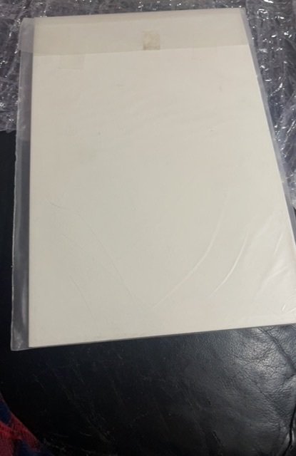 The Spectacular Spider-Man #124 (1987)