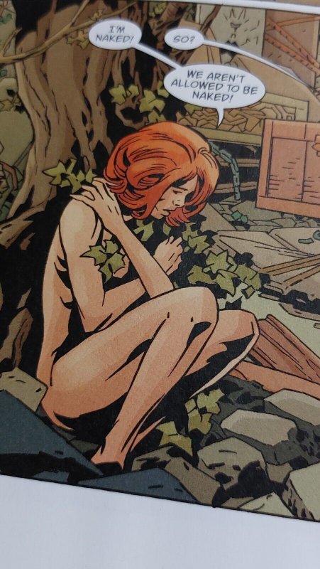 Bill Willingham FABLES 155 black forest variant cover Fine+ mature hanging