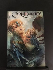 Carbon Grey #1 Cover B (2013)