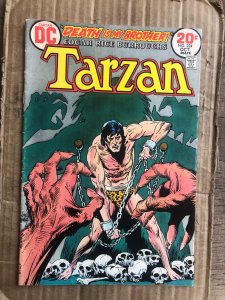 Edgar Rice Burroughs' Tarzan #224 (1973)