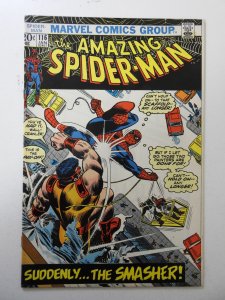 The Amazing Spider-Man #116 (1973) FN+ Condition! sticker residue front cover