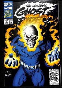 Ghost Rider Saga #1 (2008)