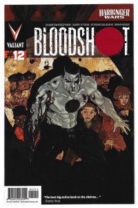 Bloodshot #12 Cover A - Kalman Andrasofszky (2013)