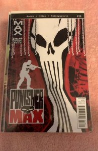 Punisher Max #14