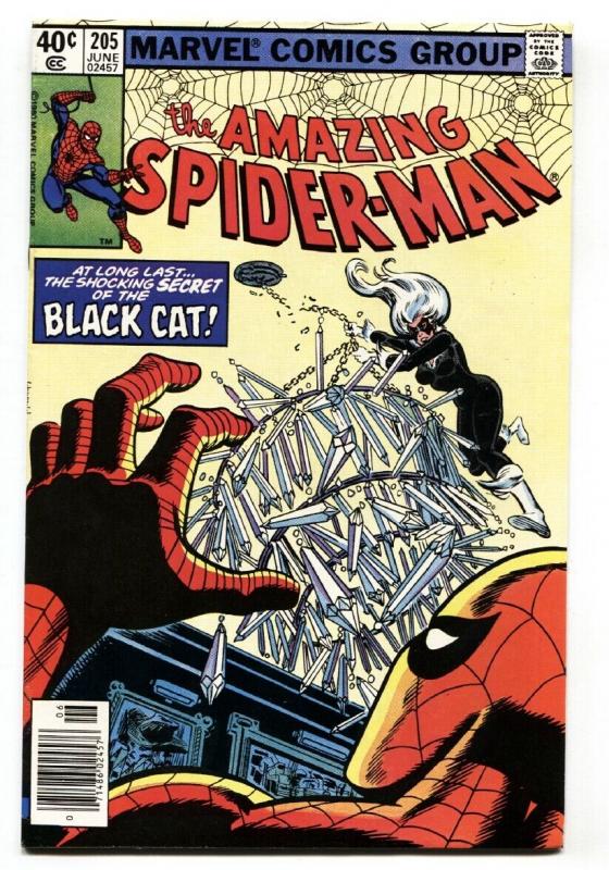 AMAZING SPIDER-MAN #205 comic book 1980-BLACK CAT-MARVEL VF/NM