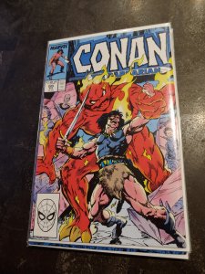 Conan the Barbarian #205 (1988)